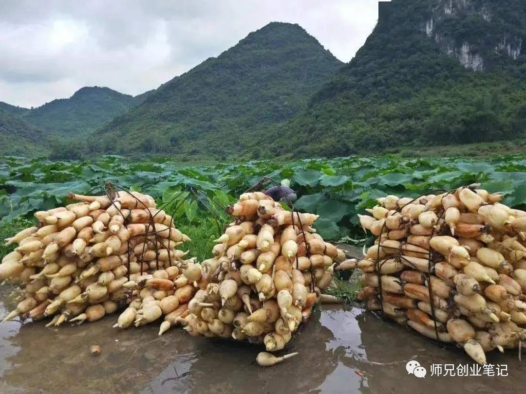 30万做什么生意赚钱-靠一辆面包车，做这个农村的生意，一年能赚30万以上！-优创圈