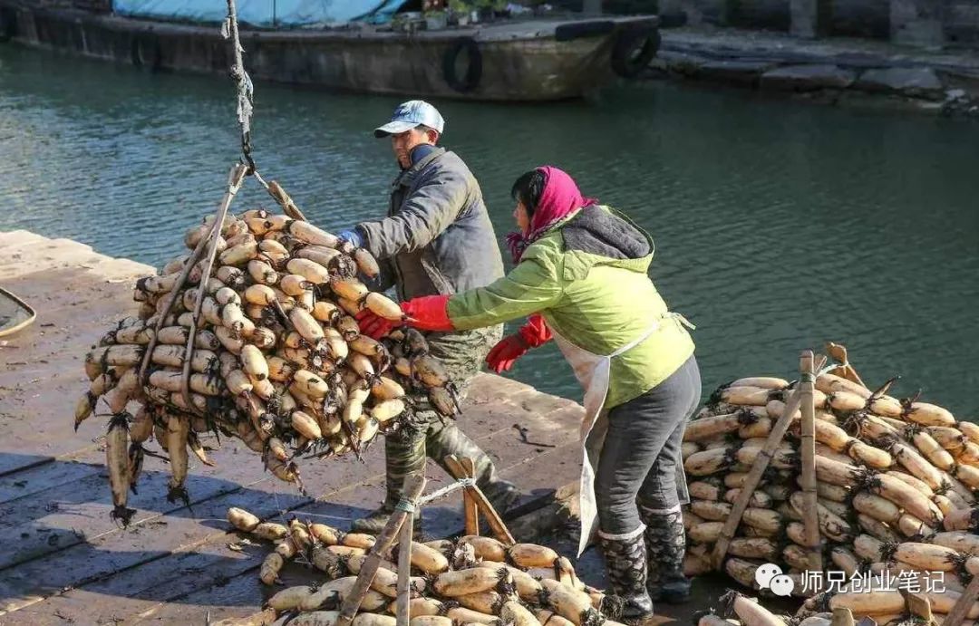 做撒生意可以赚钱_做生意赚钱门路_30万做什么生意赚钱