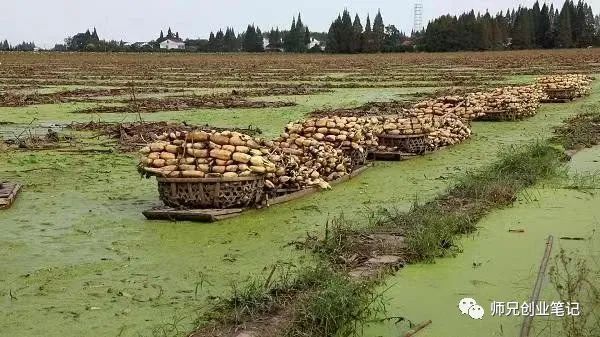 做生意赚钱门路_做撒生意可以赚钱_30万做什么生意赚钱