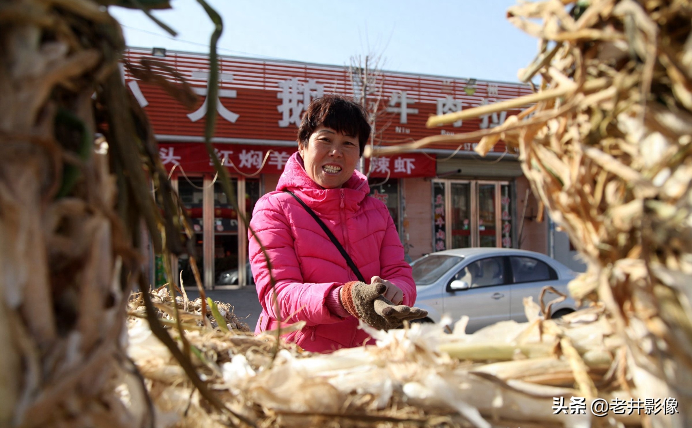 山西种什么药材最赚钱-山西农民大姐承包200亩土地种植1种“参”，1年卖60万元，看是啥-优创圈
