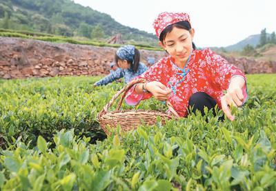 2021年做生意好_新年做生意_2020年小生意做什么好