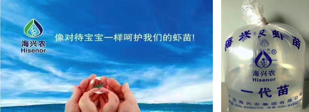 海南养殖什么销路好_海南省养什么最赚钱_在海南养什么好赚钱