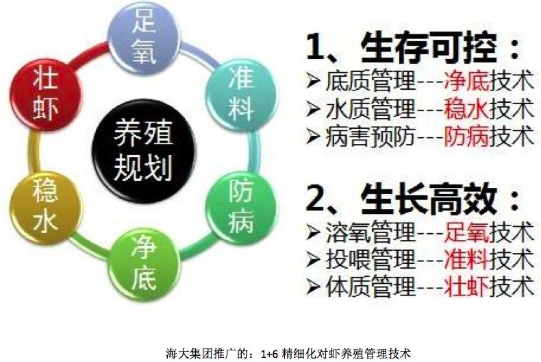 在海南养什么好赚钱_海南省养什么最赚钱_海南养殖什么销路好