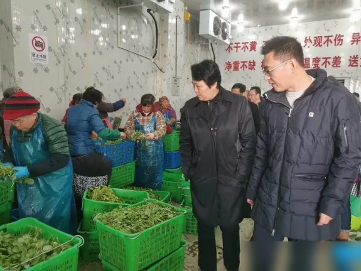 在上海创业做什么赚钱_上海赚钱创业做什么生意_上海赚钱创业做什么好