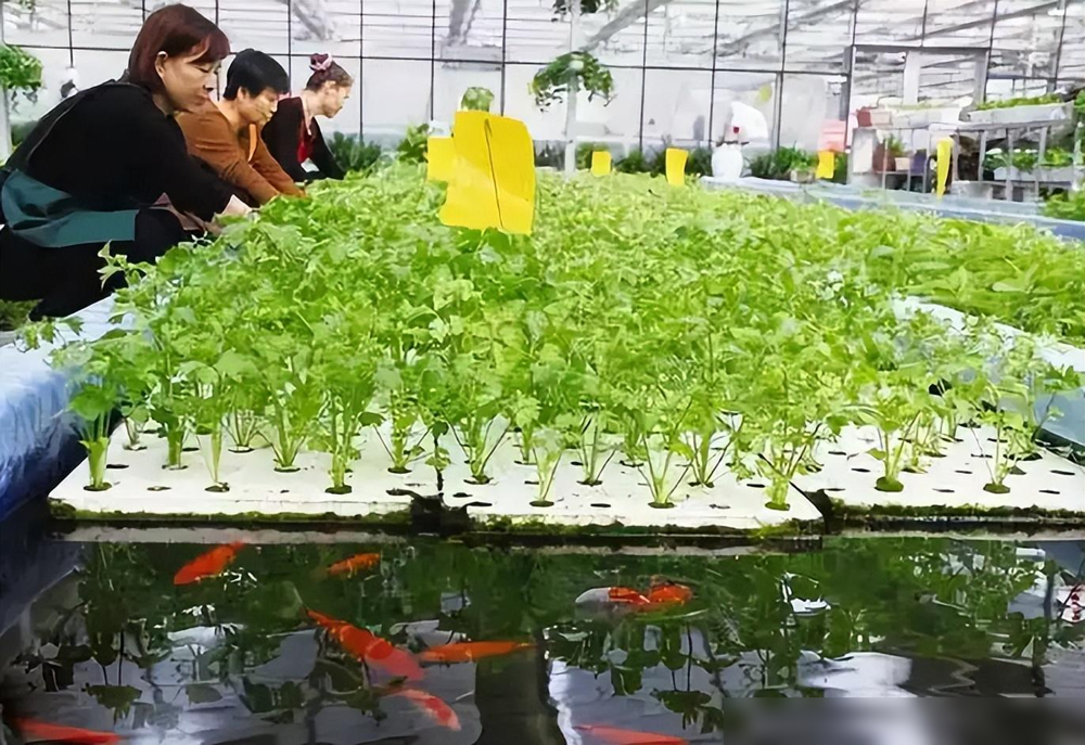 上海赚钱创业做什么生意_在上海创业做什么赚钱_上海赚钱创业做什么好