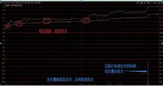 中鸿财富靠什么赚钱_鸿彩赚钱平台是真的吗_鸿赚劳务有限公司