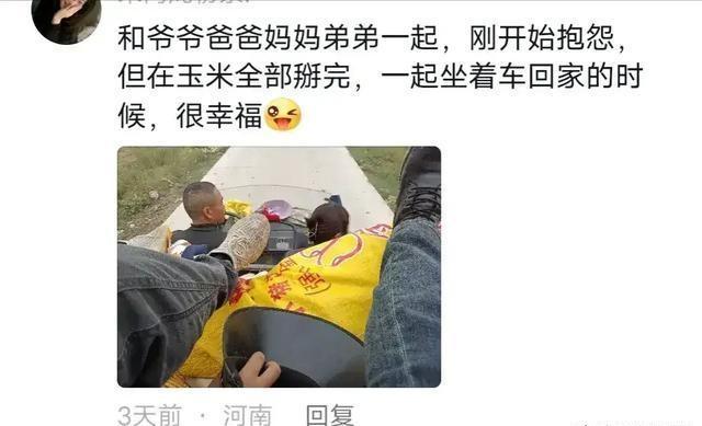 图片[2]-回老家干什么赚钱-江苏一女子在农村帮父母收玉米，火了，网友：低落了就回老家一趟-优创圈
