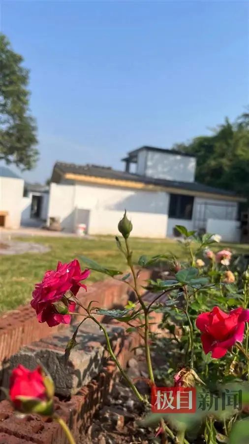 开车在农村卖菜挣钱么_开车去农村卖东西违法吗_开车去农村卖什么赚钱