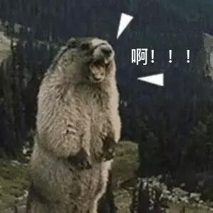 学生微商卖什么最赚钱_学生做微商可以卖什么_学生做微商
