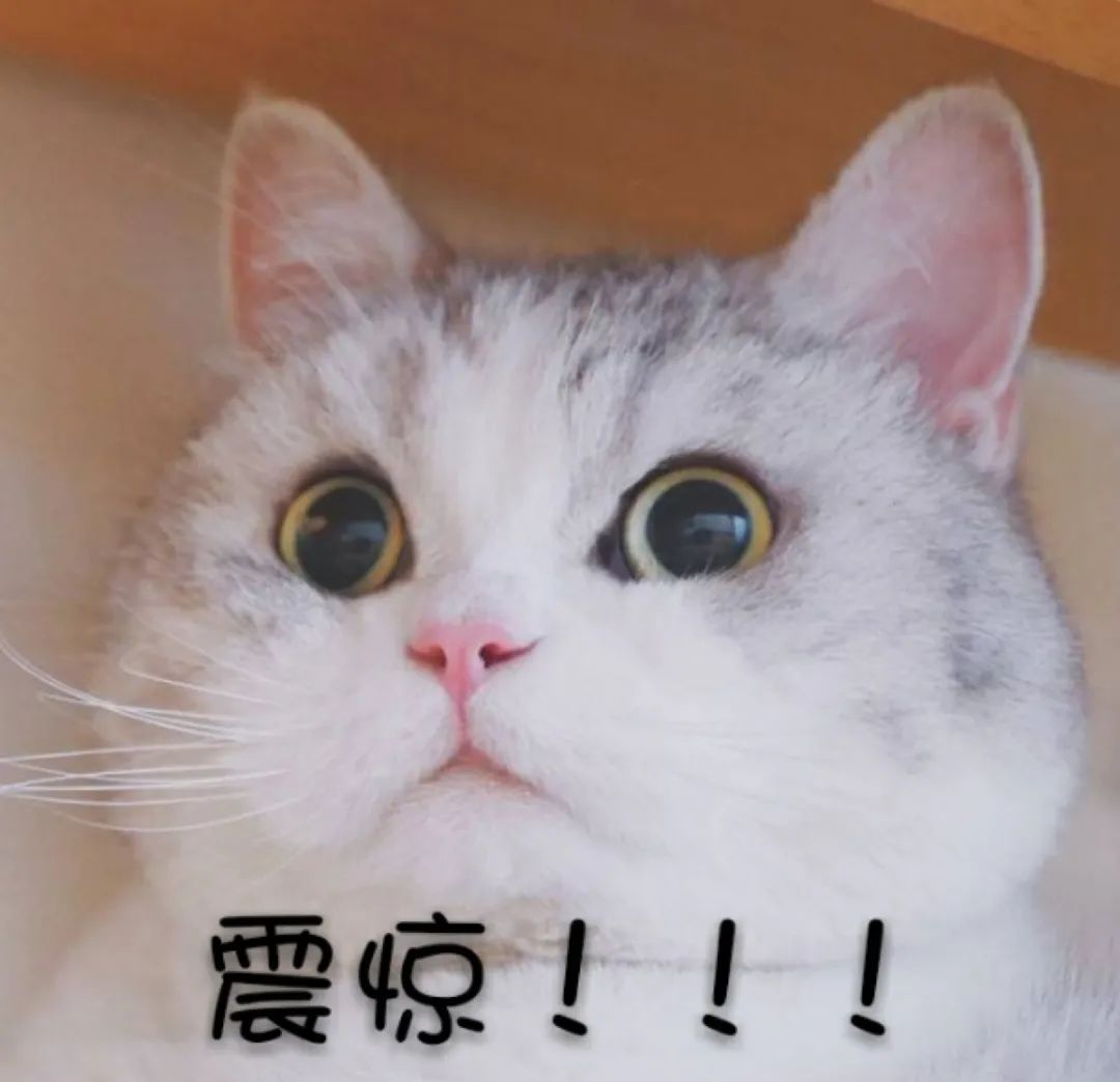 用手机干什么可以赚钱-快转给家里长辈！刷下手机就赚钱？老年人正在变成它们的“韭菜”…-优创圈