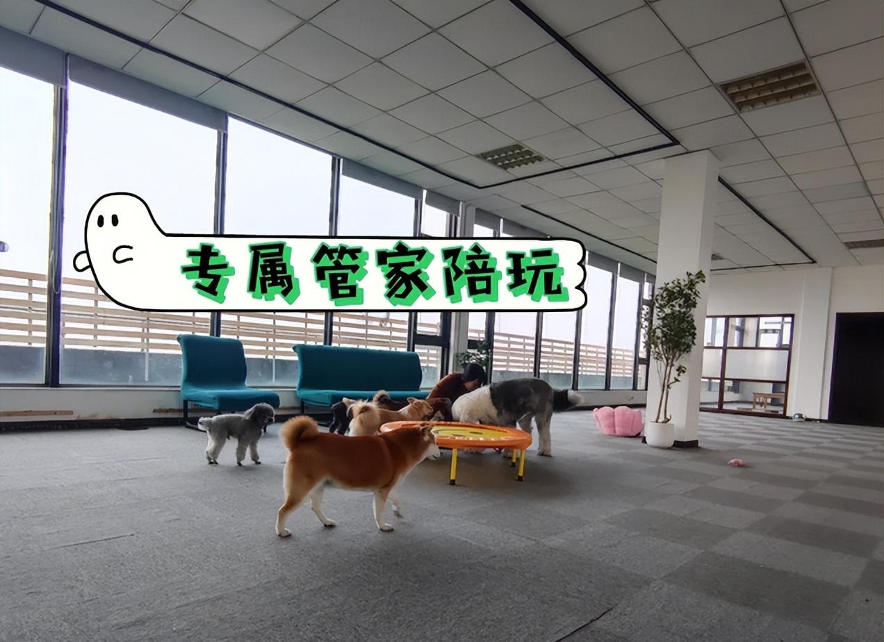 过年赚钱_过年期间做什么最赚钱_过年赚钱期间做什么