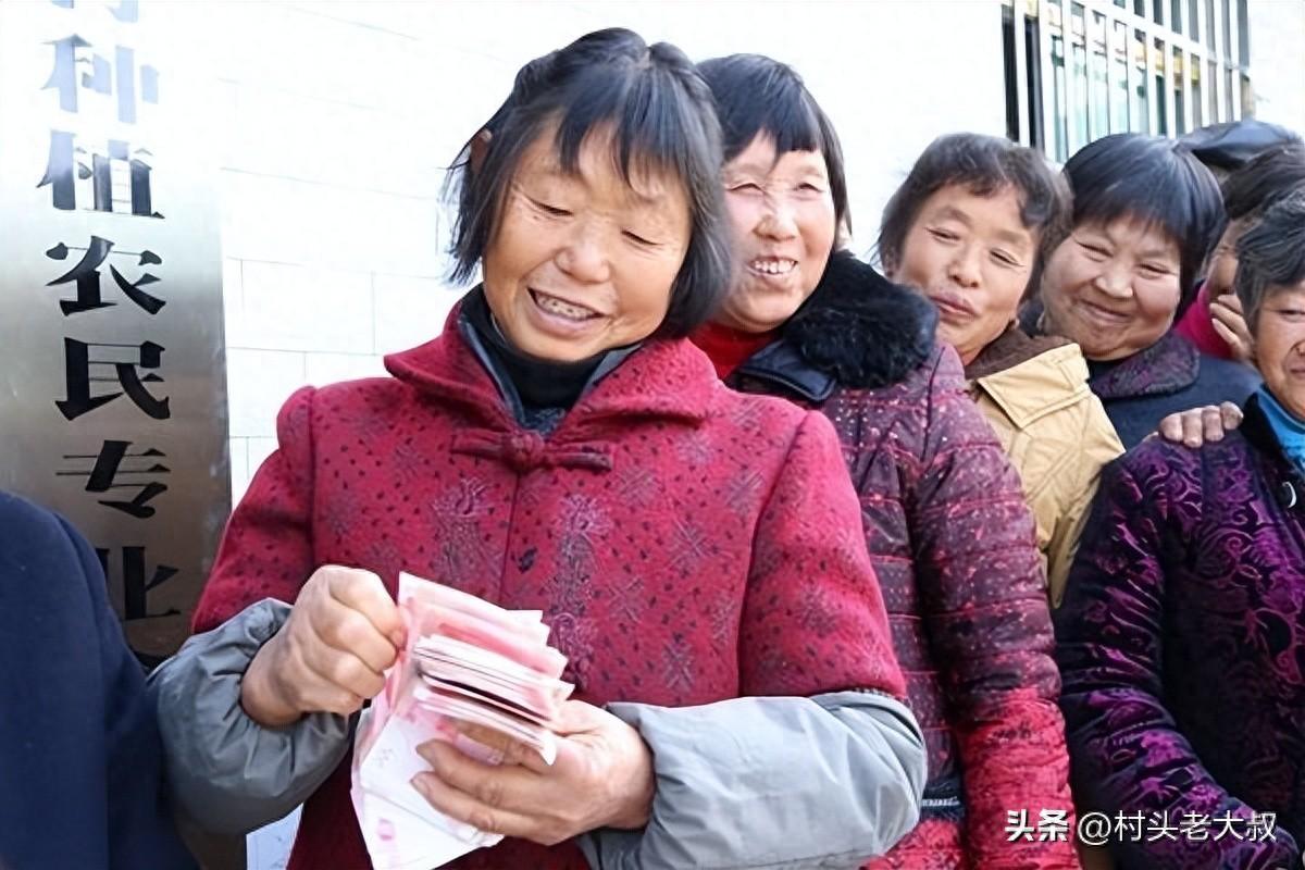 在农村干什么赚钱最快_农村干嘛赚钱_农村干点啥赚钱