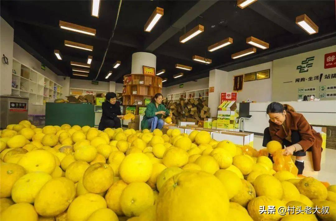 在农村干什么赚钱最快_农村干点啥赚钱_农村干嘛赚钱