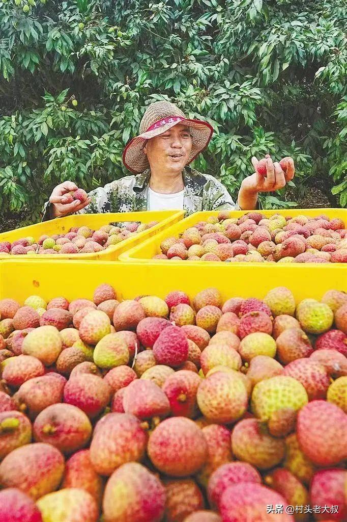 在农村干什么赚钱最快_农村干嘛赚钱_农村干点啥赚钱