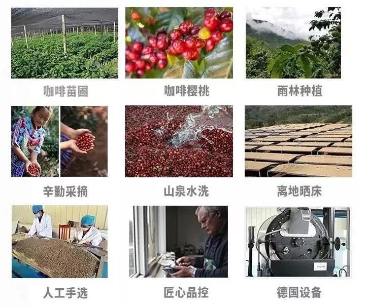 商场赚钱卖吃的叫什么_商场卖什么吃的最赚钱_商场赚钱卖吃的违法吗