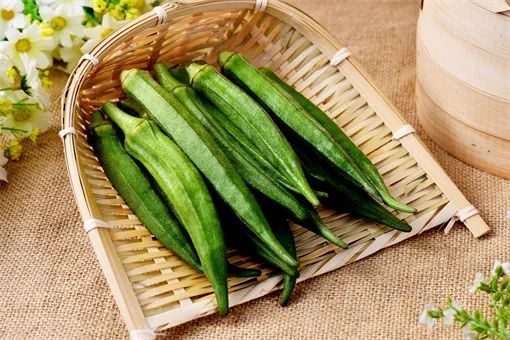 种植赚钱食用菌的公司_种植什么食用菌最赚钱_种植赚钱食用菌骗局