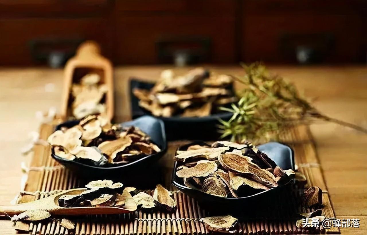 种什么中药材最赚钱-2022年农村种植什么好？中药材种植商机已现，提前了解-优创圈