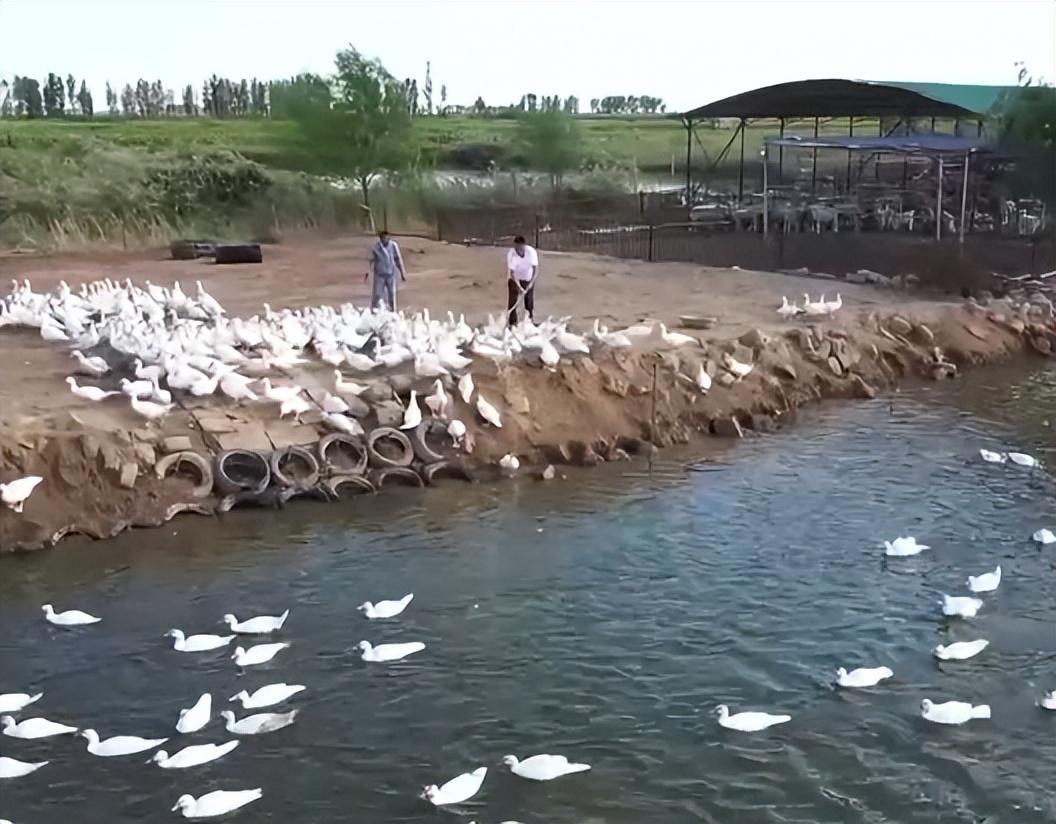内蒙古最赚钱的行业_在内蒙古做什么赚钱_内蒙古做什么能致富