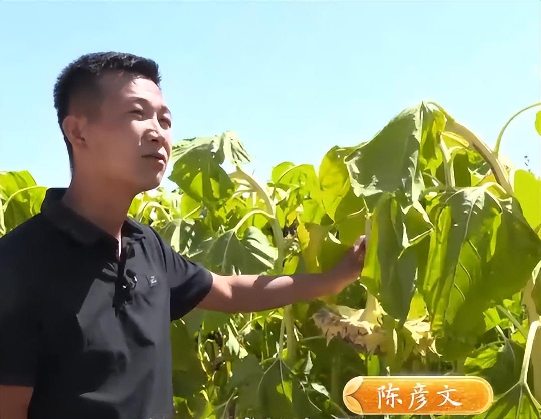 内蒙古做什么能致富_在内蒙古做什么赚钱_内蒙古最赚钱的行业