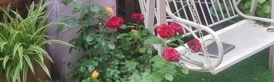 40岁女人学什么最赚钱-40岁失业，交不起女儿学画画的钱，换了1个活法给自己打工，赚了人生中第一桶金……-优创圈