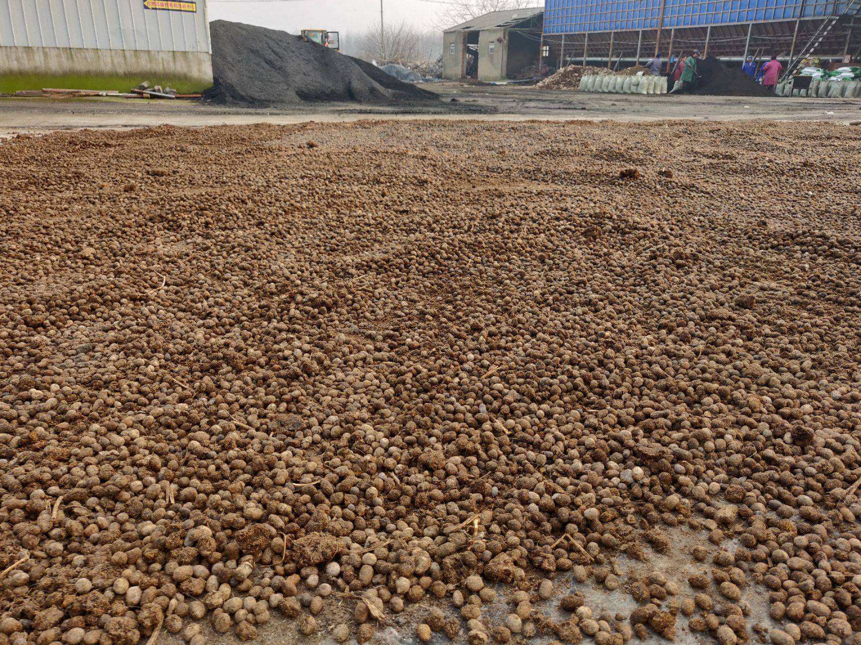 在内蒙古做什么赚钱-大哥花4万买了两堆羊粪，却能靠它赚取3000万！他是如何做的？-优创圈
