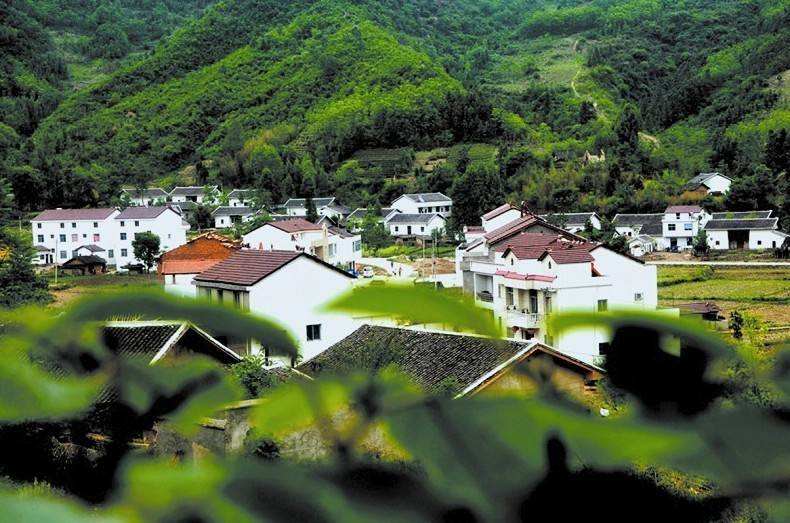 图片[19]-在内蒙古做什么赚钱-大哥花4万买了两堆羊粪，却能靠它赚取3000万！他是如何做的？-优创圈