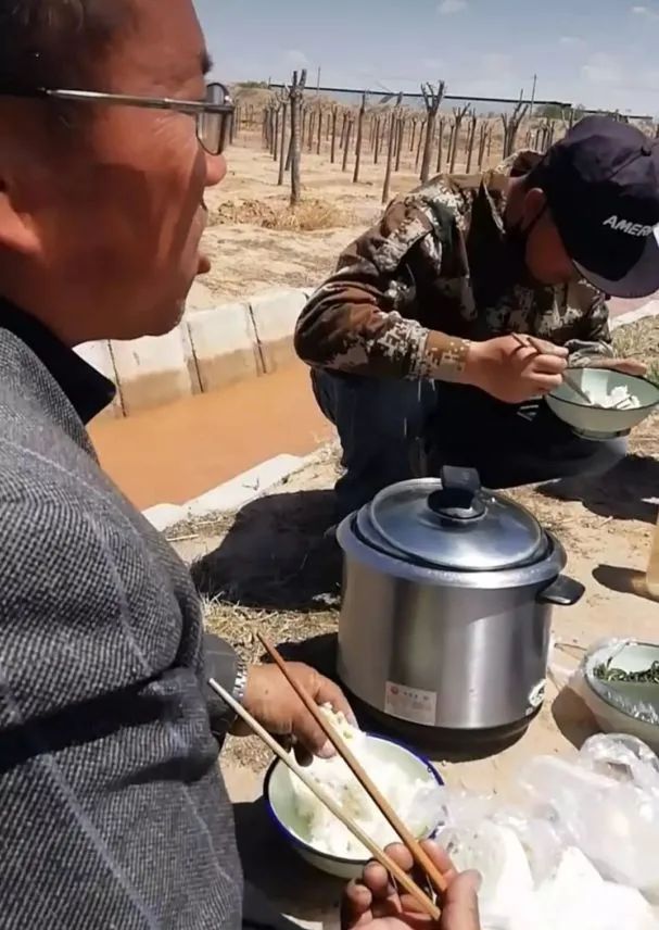 四川种植什么树赚钱_种植四川赚钱树怎么样_四川种树赚钱都种的什么树