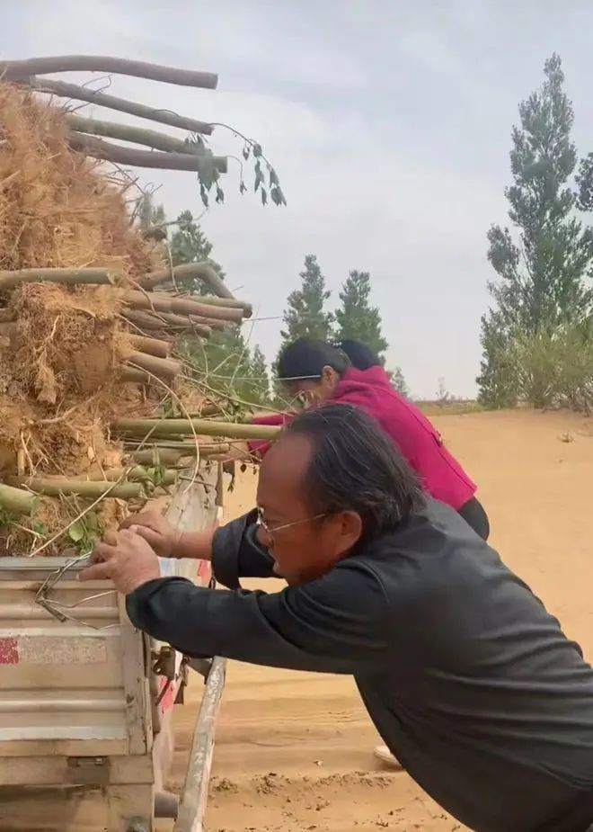 四川种树赚钱都种的什么树_四川种植什么树赚钱_种植四川赚钱树怎么样