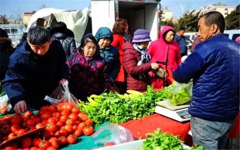 做什么生意农村_请问在农村做什么生意比较赚钱_农村生意好做吗