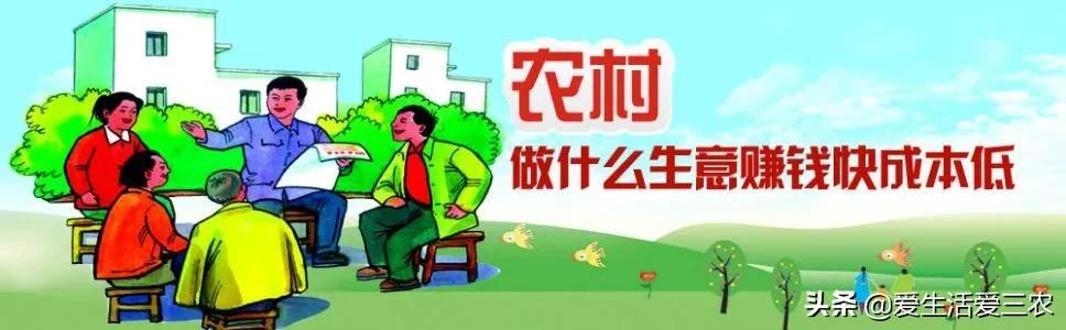 养值什么好养赚钱快-能让农民快速致富的八个行业，快学起来吧！-优创圈
