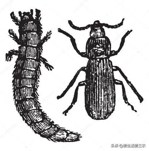 养值什么好养赚钱快_赚钱养什么_养啥好养还赚钱