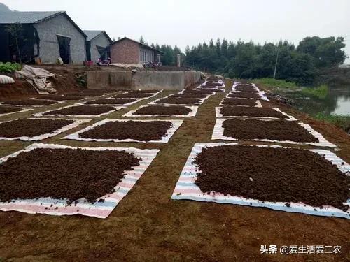 养值什么好养赚钱快_养啥好养还赚钱_赚钱养什么