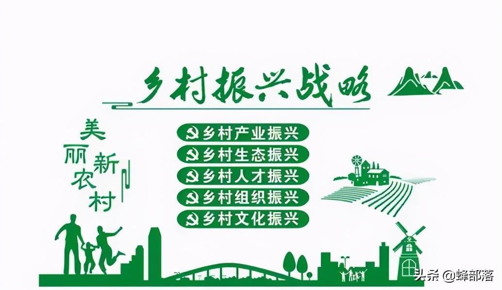 养值什么好养赚钱快-乡村振兴怎么落地？农村养这几种鱼，养殖技术简单周期短，价格高-优创圈