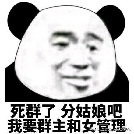 什么样的付费群最赚钱_付费群怎么做_做付费群赚钱