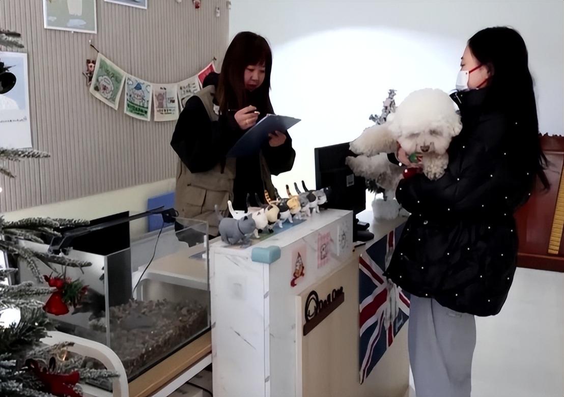 二手交易赚钱_买卖赚钱二手做什么好_做什么二手买卖赚钱
