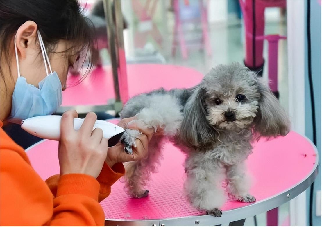 做什么二手买卖赚钱_二手交易赚钱_买卖赚钱二手做什么好