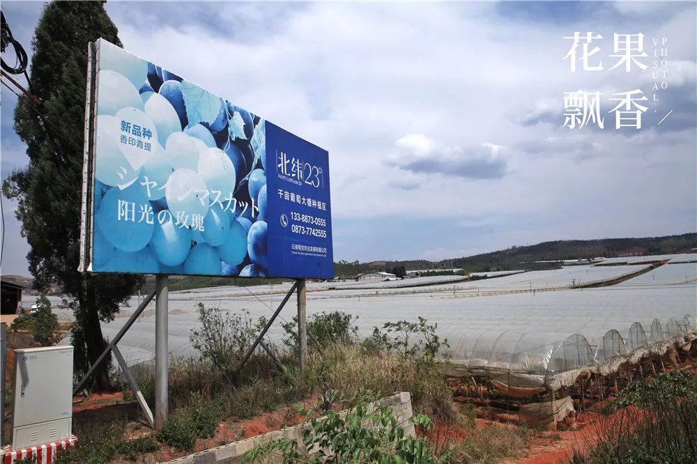有20亩地能做什么赚钱_有地可以做什么项目好_有地做什么好
