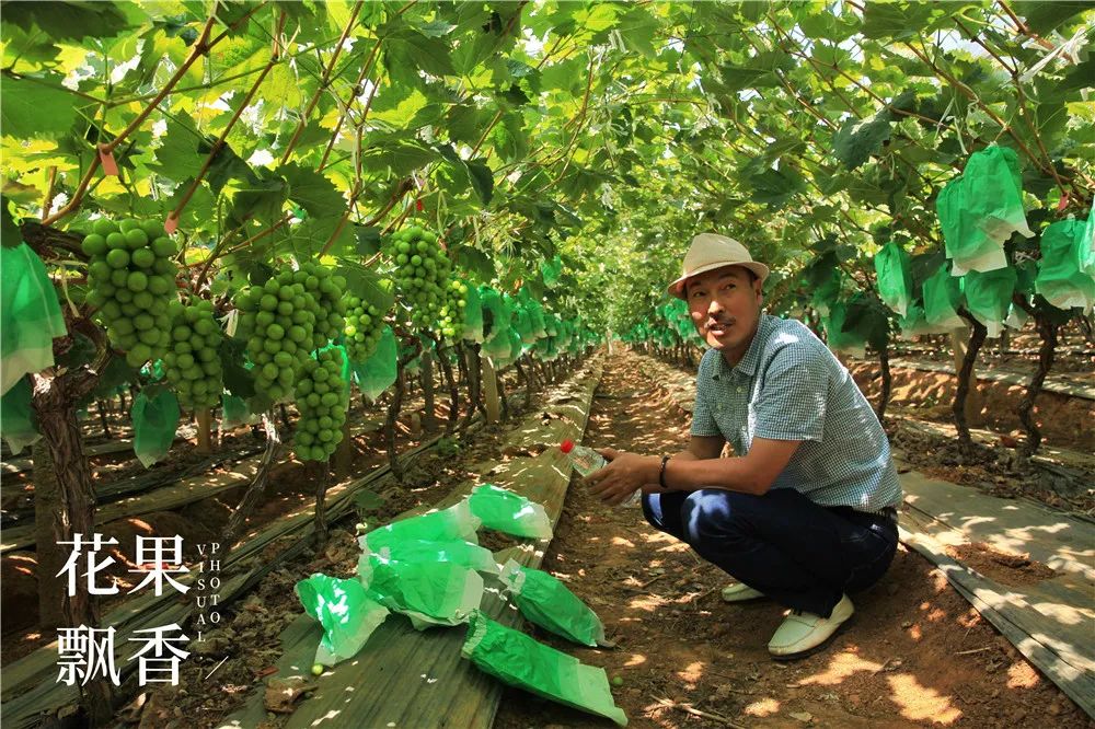 有地做什么好_有地可以做什么项目好_有20亩地能做什么赚钱