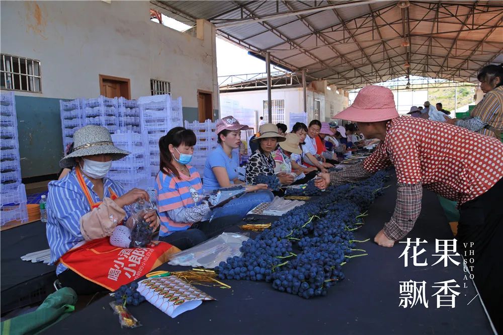 有20亩地能做什么赚钱_有地做什么好_有地可以做什么项目好