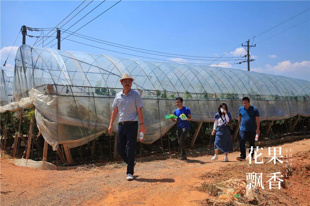 有地可以做什么项目好_有地做什么好_有20亩地能做什么赚钱