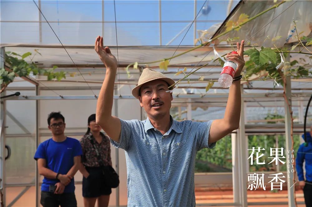 有地做什么好_有20亩地能做什么赚钱_有地可以做什么项目好