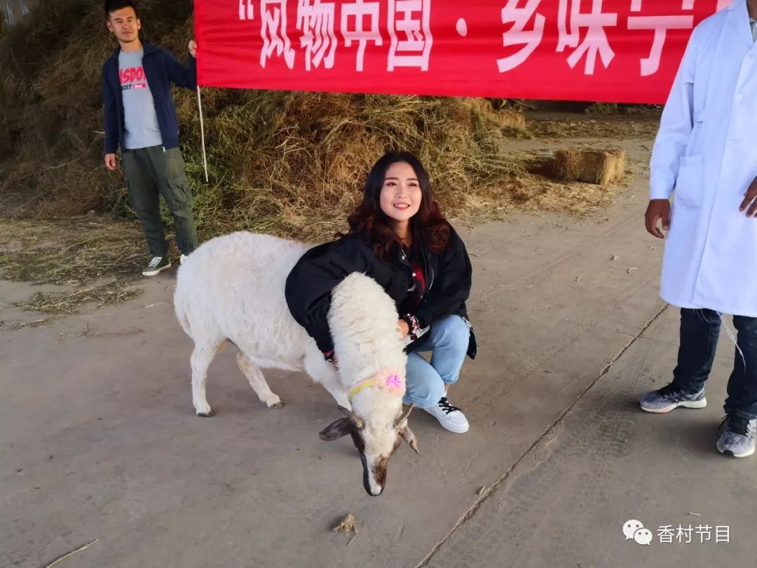 美食赚钱下载_美食什么赚钱_美食赚钱的软件有哪些