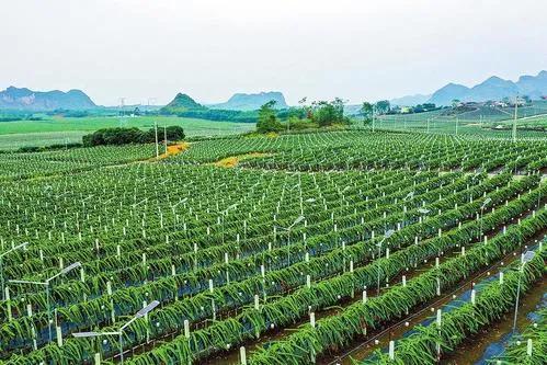 翻新什么赚钱_翻新什么东西利润高_翻新行业