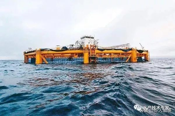 养殖水产赚钱不_养殖水产赚钱吗现在_水产养殖什么赚钱