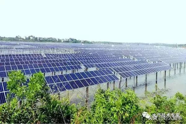 水产养殖什么赚钱_养殖水产赚钱不_养殖水产赚钱吗现在