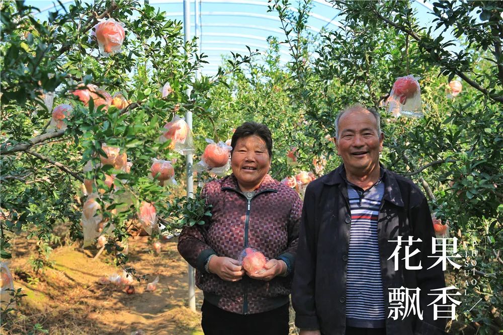 现在什么农业赚钱-一位农业农村局局长的产业发展思路：啥能赚钱就发展啥-优创圈