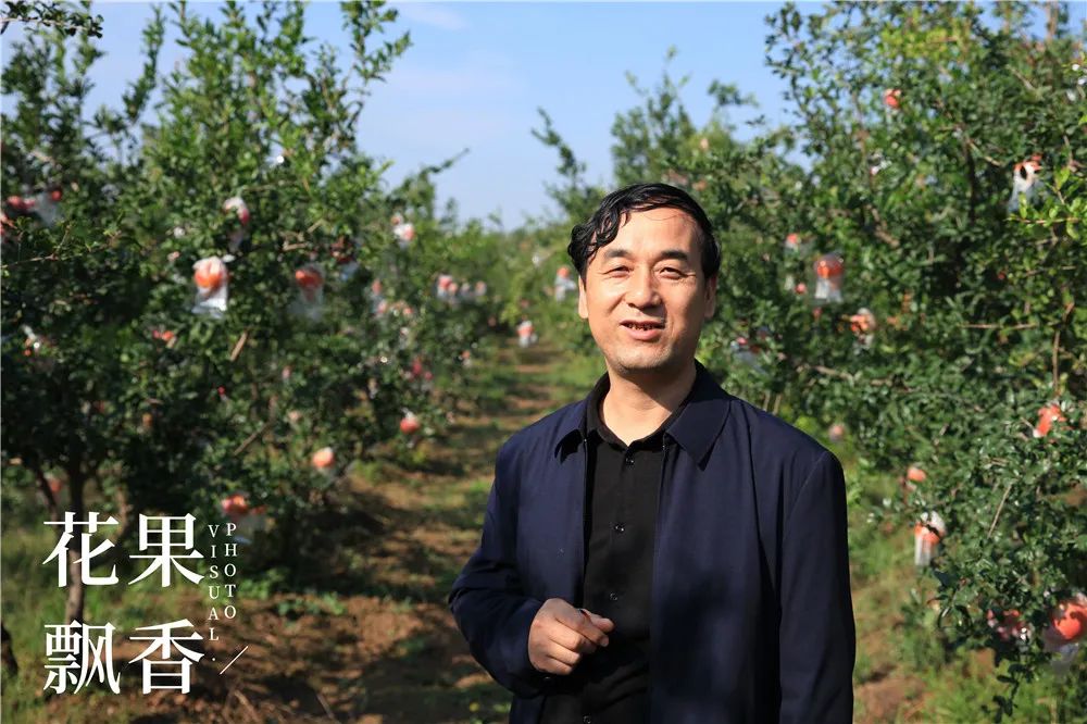 农业赚钱现在怎么样_农业赚钱_现在什么农业赚钱