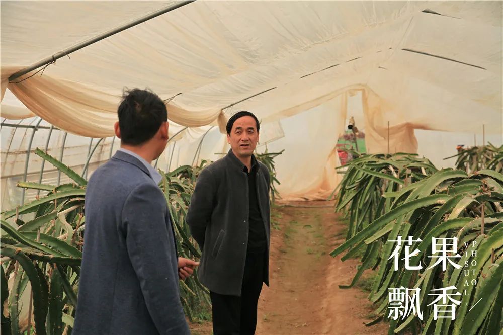 农业赚钱_农业赚钱现在怎么样_现在什么农业赚钱