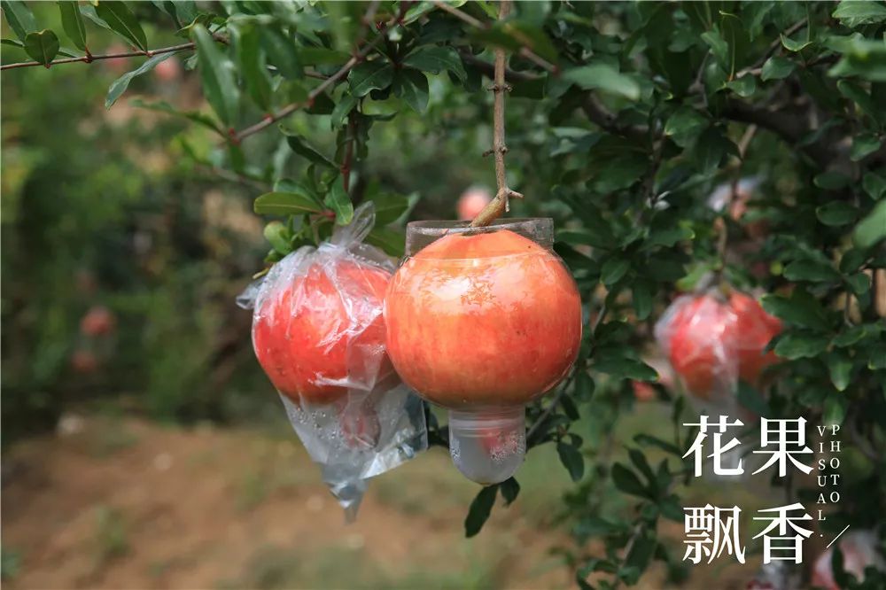 现在什么农业赚钱_农业赚钱_农业赚钱现在怎么样