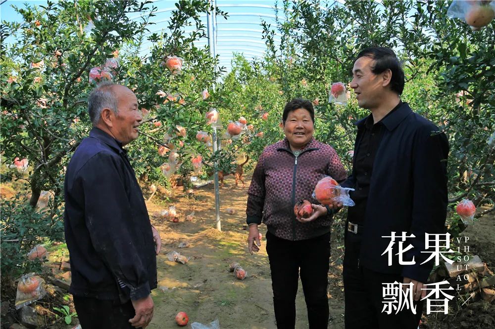 农业赚钱_现在什么农业赚钱_农业赚钱现在怎么样